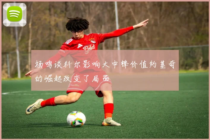 杨鸣谈科尔影响大中锋价值约基奇的崛起改变了局面