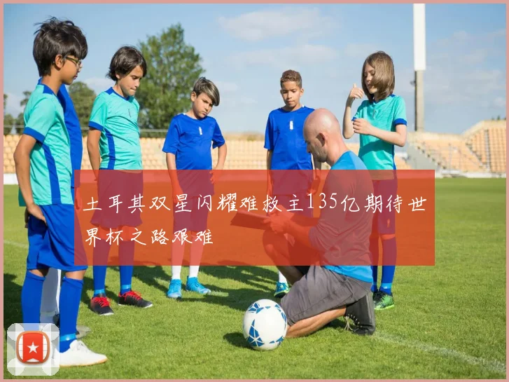 土耳其双星闪耀难救主135亿期待世界杯之路艰难