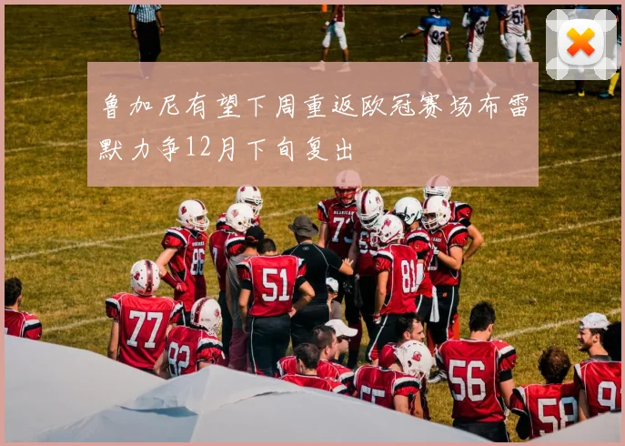 鲁加尼有望下周重返欧冠赛场布雷默力争12月下旬复出
