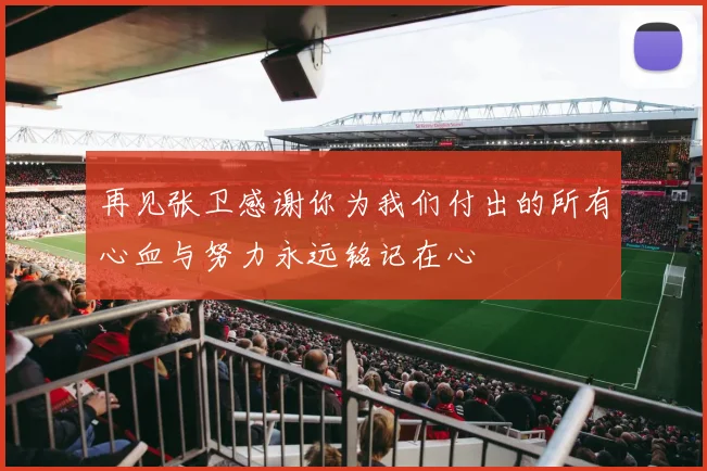 再见张卫感谢你为我们付出的所有心血与努力永远铭记在心
